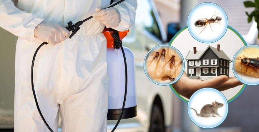 Beytüşşebap Böcek İlaçlama