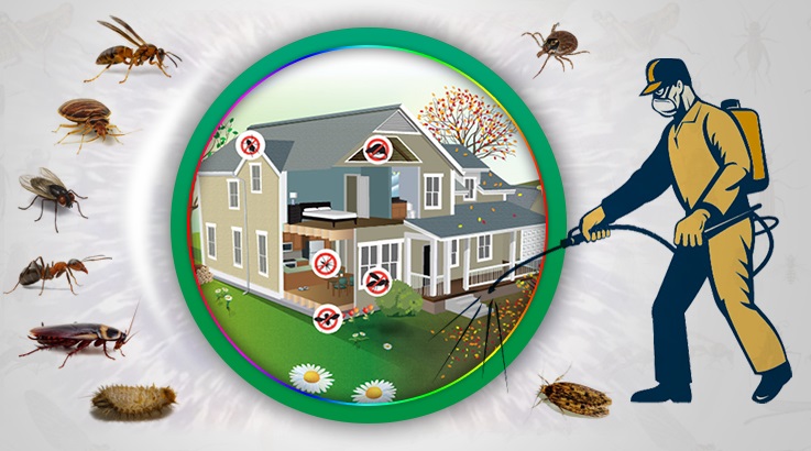 Beytüşşebap Böcek İlaçlama