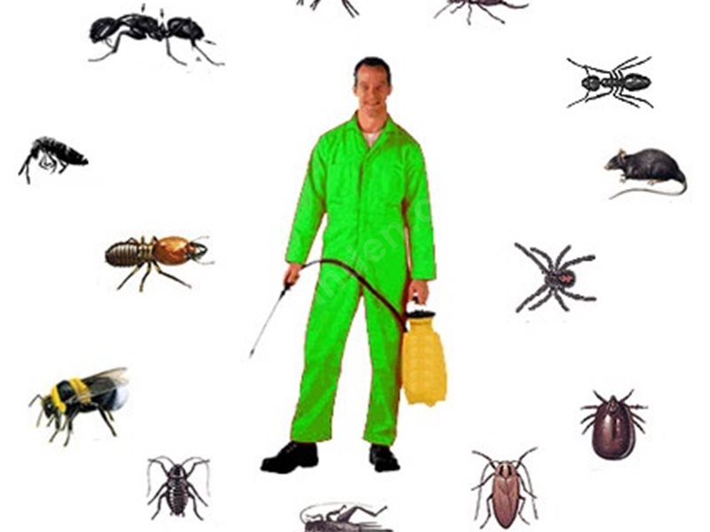 Beytüşşebap Böcek İlaçlama